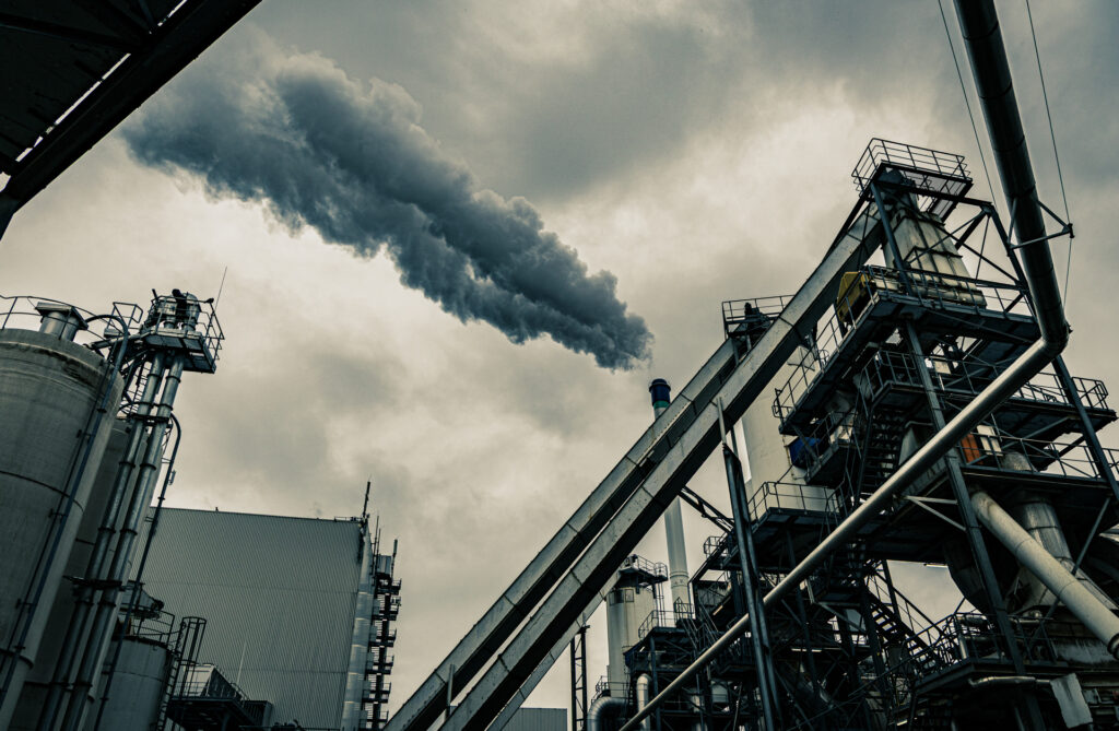 FFVC erkundet Fabrik: Spannende Einblicke in die Spanplattenherstellung