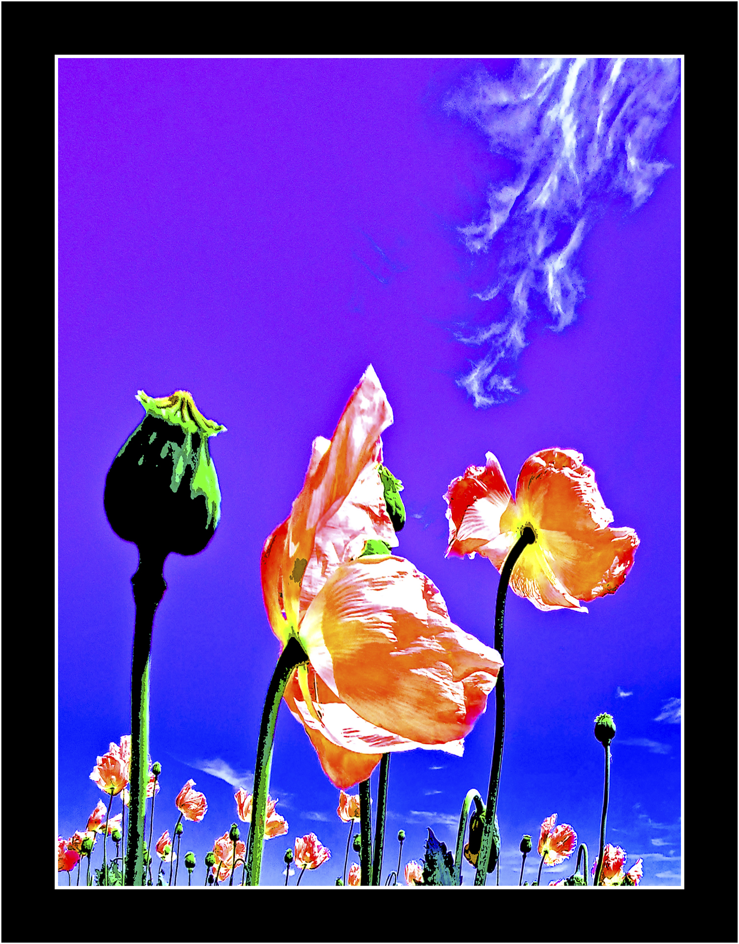 Image gallery image
